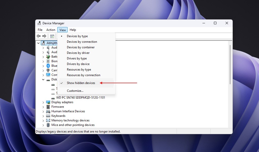 Device Manager view hidden devices setting